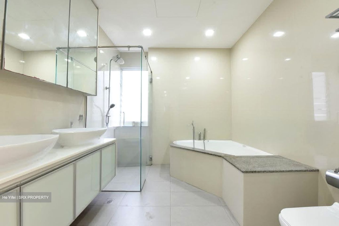 Regency Park (D10), Condominium #631883871